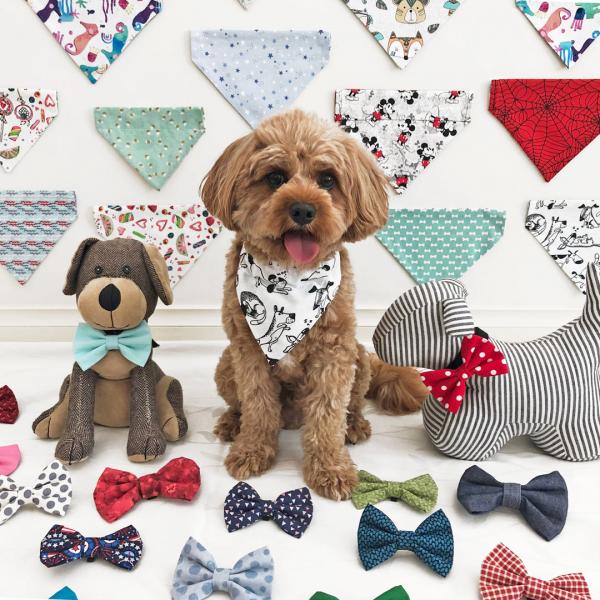 Frankie Wears dog bandanas and bow ties