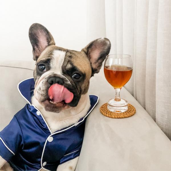 Bagel and L'Barkery Pawsecco Beverage