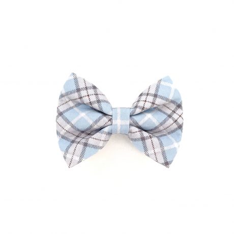 FW-Bow Tie-Blue Paid